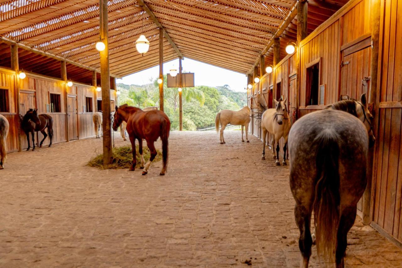 Spaventura Eco Resort Ibiúna Εξωτερικό φωτογραφία